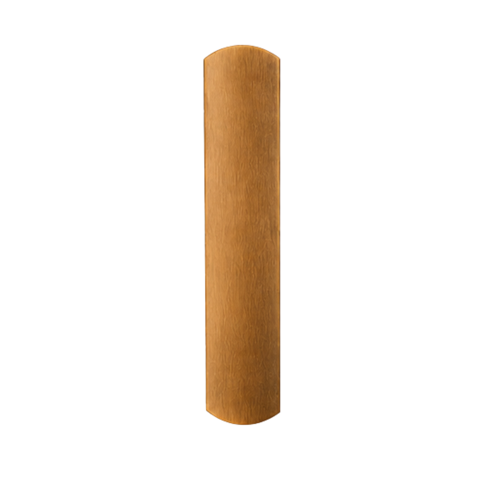 Von Duprin 880EO-V/M Exit Only Trim Plate for 88 Series Exit Devices - Vertical/Mortise Device