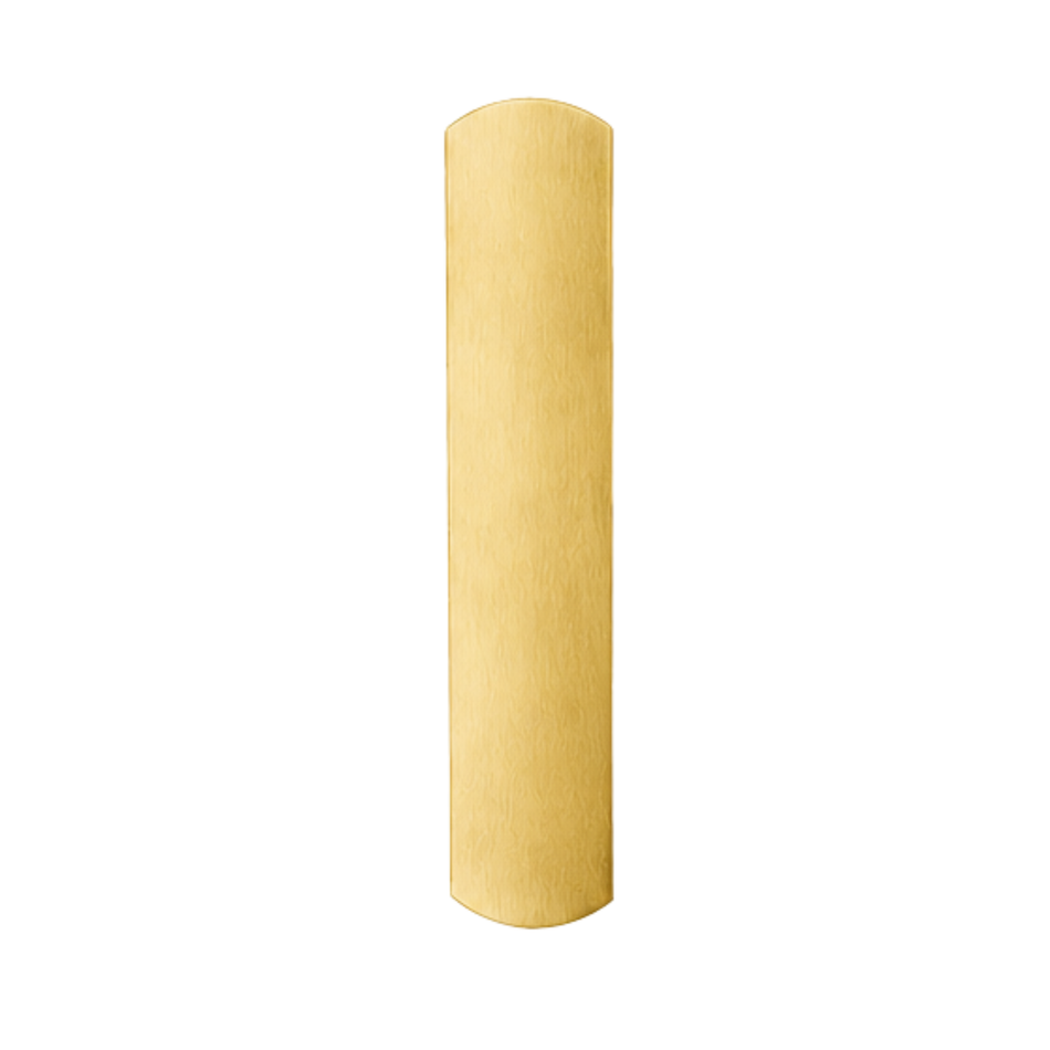 Von Duprin 880EO-V/M Exit Only Trim Plate for 88 Series Exit Devices - Vertical/Mortise Device