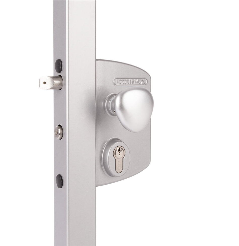 Locinox LEKQU2 - Surface mounted electric gate lock with Fail Open functionality